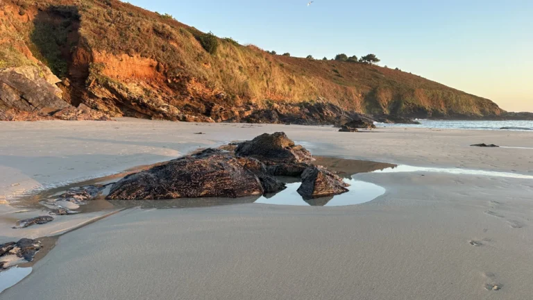 Playa bascuas 04 768x432