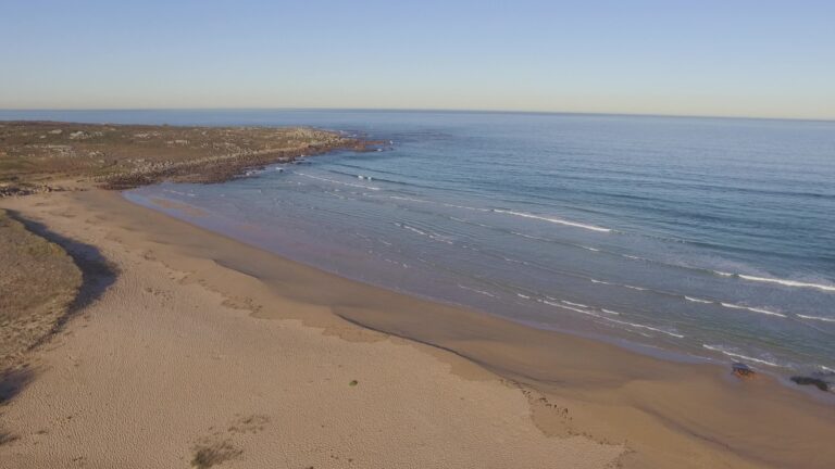 Espineirido 2 768x432
